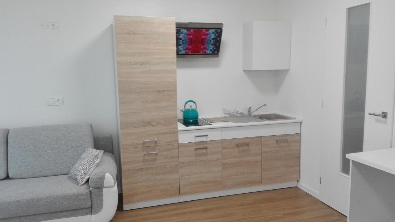 Apartment Brno Centrum With Private Parking Екстериор снимка