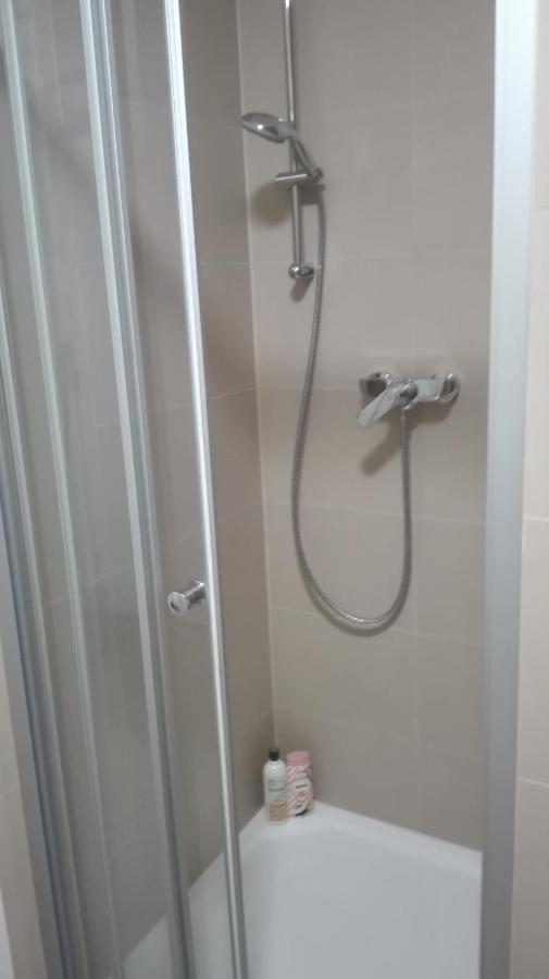 Apartment Brno Centrum With Private Parking Екстериор снимка